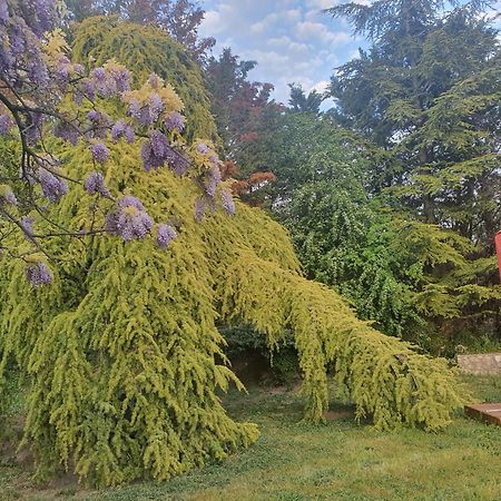 Gite Au Coeur De La Provence & Spa Saint-Cannat Exteriér fotografie