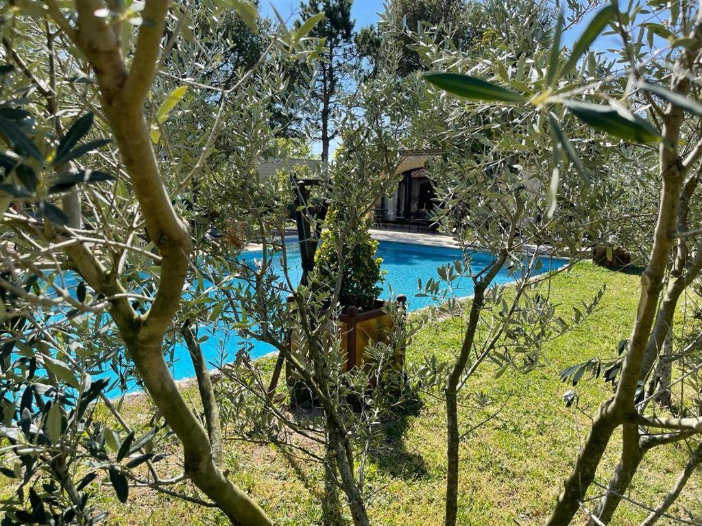 Gite Au Coeur De La Provence & Spa Saint-Cannat Exteriér fotografie